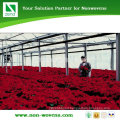 Nonwoven Agricultural Greenhouses